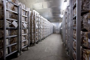 facility_img001